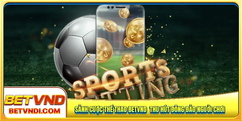 Sảnh cược thể thao Betvnd thu hút đông đảo người chơi