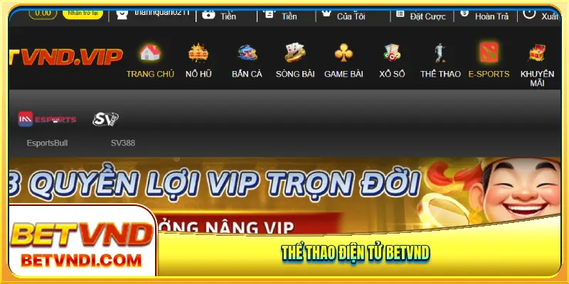 Thể thao điện tử tại nhà cái Betvnd