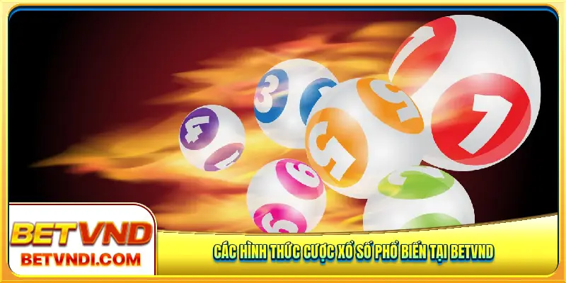 Các hình thức cược xổ số phổ biến tại Betvnd