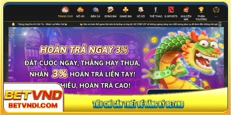 Tiêu chí cần thiết để đăng ký Betvnd