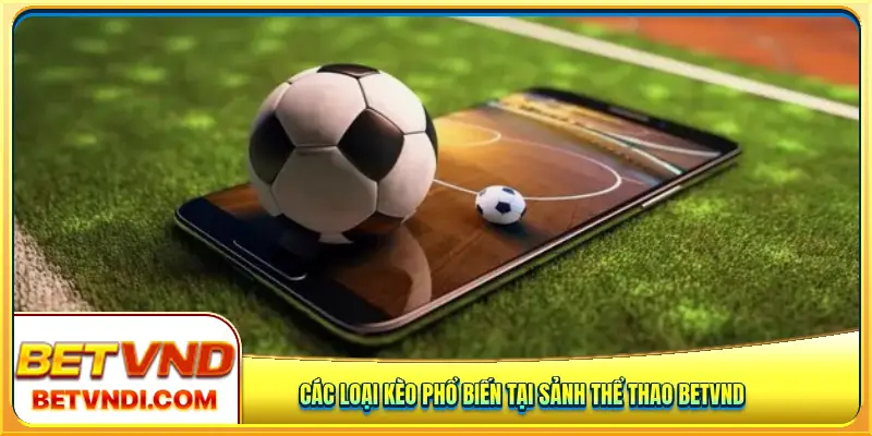 Các loại kèo phổ biến tại sảnh thể thao Betvnd