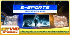 thể thao điện tử Betvnd